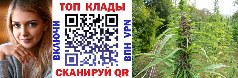 Где найти наркотики Суворов МДМА  Галлюциногенные грибы  ГАШ  Мефедрон  Кокаин  СОЛЬ  Амфетамин  МАРИХУАНА 
