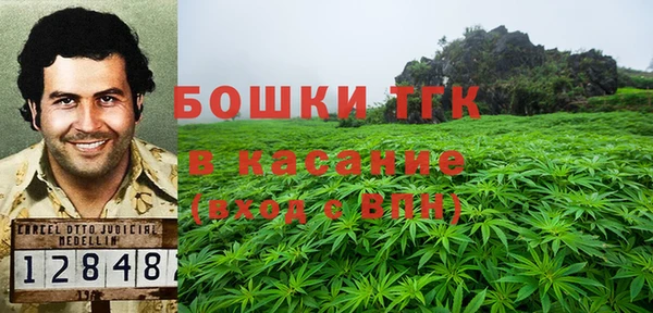 ПСИЛОЦИБИНОВЫЕ ГРИБЫ Армянск