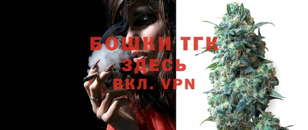 прущие крисы Аркадак