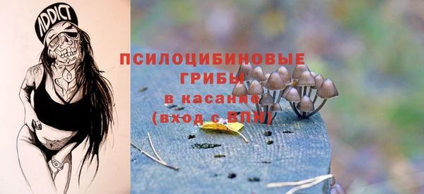 ПСИЛОЦИБИНОВЫЕ ГРИБЫ Армянск