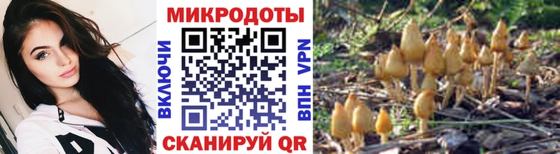 Псилоцибиновые грибы мицелий Суворов